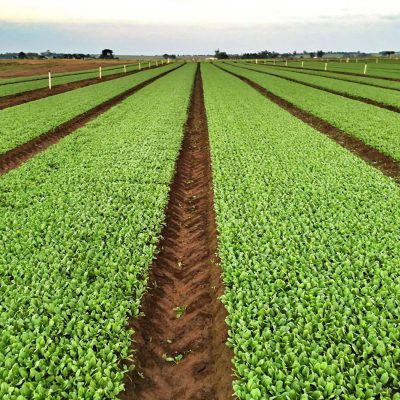 Thumbnail van Sustainability Top 2021 is committed to five agreements