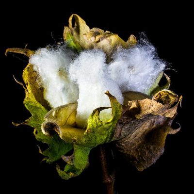 Thumbnail van Amsterdam metropolis takes a pioneering role in circular textiles